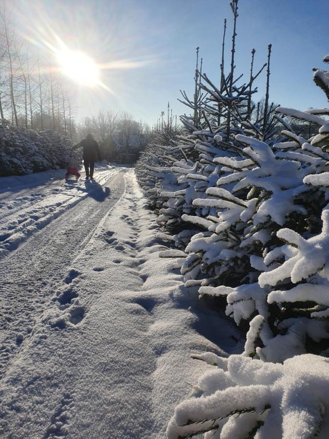 Agroturystyka "Jezioranka" Unichowo Exteriér fotografie
